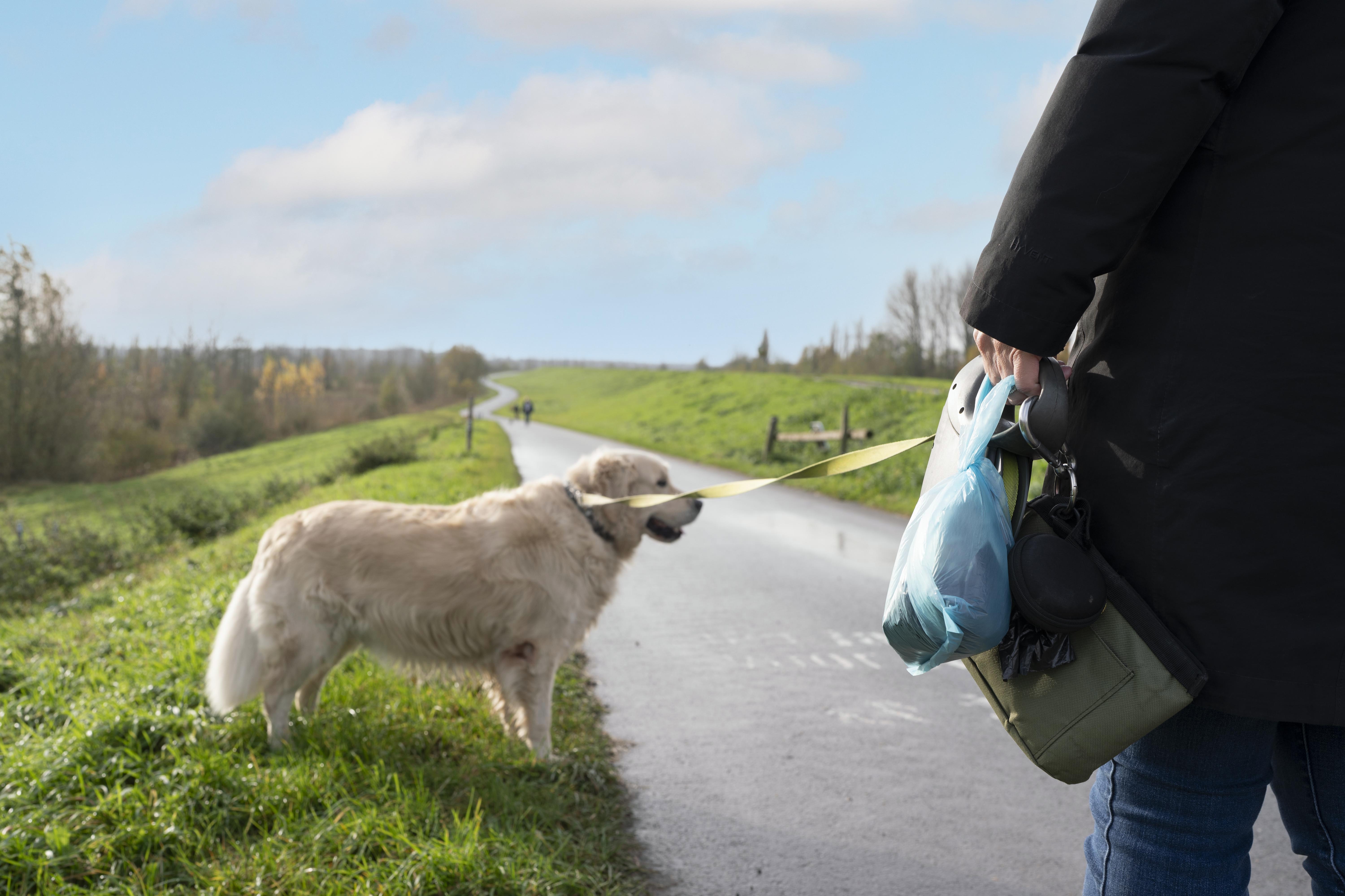 Afbeelding verwijderd.