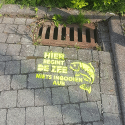 Afbeelding verwijderd.