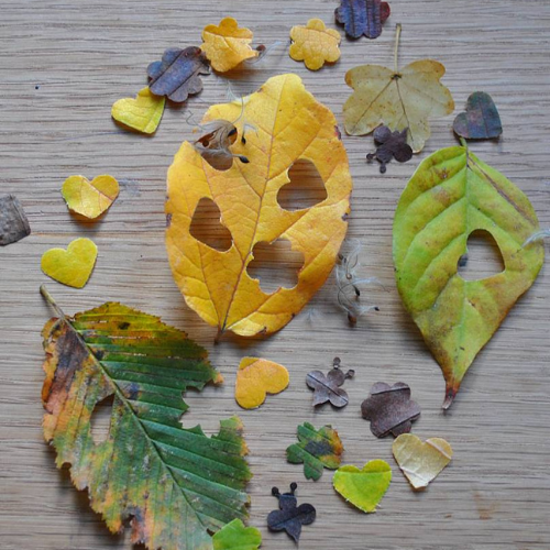 Afbeelding verwijderd.