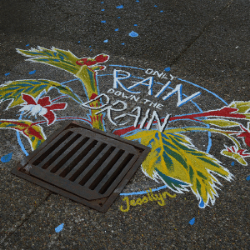 Afbeelding verwijderd.