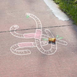 Afbeelding verwijderd.